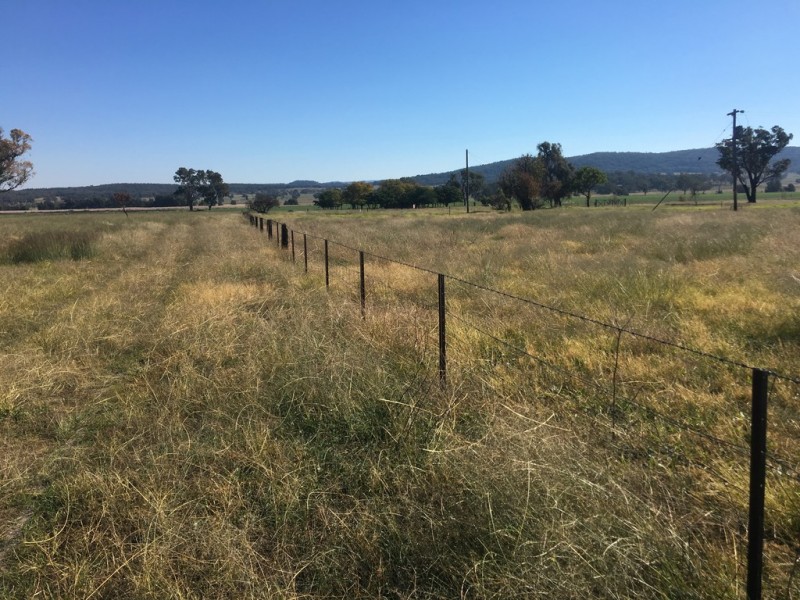 “Yellamo” 1730 Black Stump Way, Coolah NSW 2843