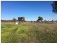 “Yellamo” 1730 Black Stump Way, Coolah NSW 2843