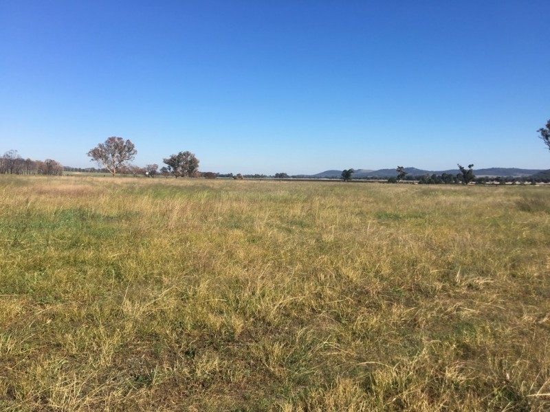 “Yellamo” 1730 Black Stump Way, Coolah NSW 2843