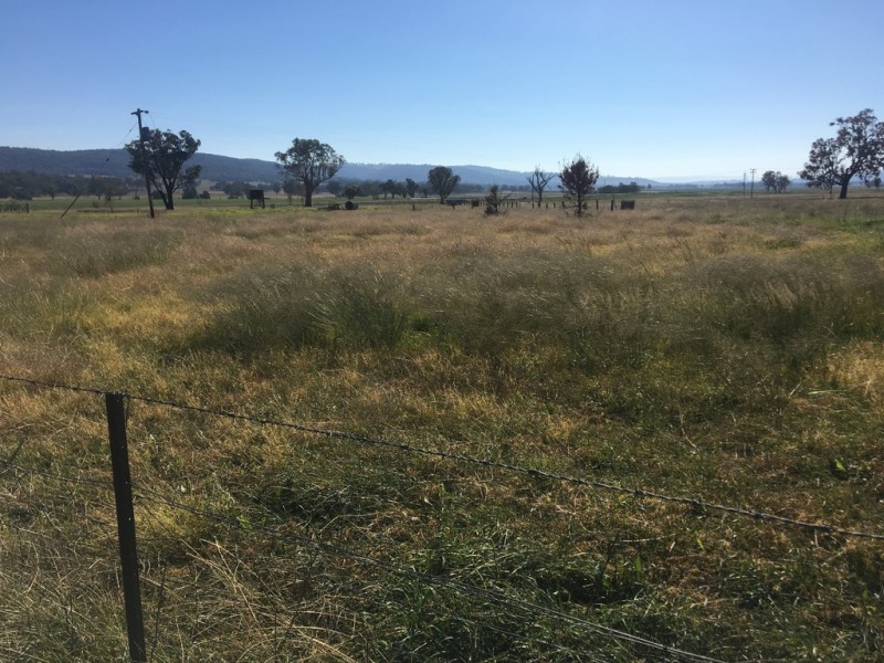 “Yellamo” 1730 Black Stump Way, Coolah NSW 2843