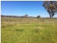 “Yellamo” 1730 Black Stump Way, Coolah NSW 2843