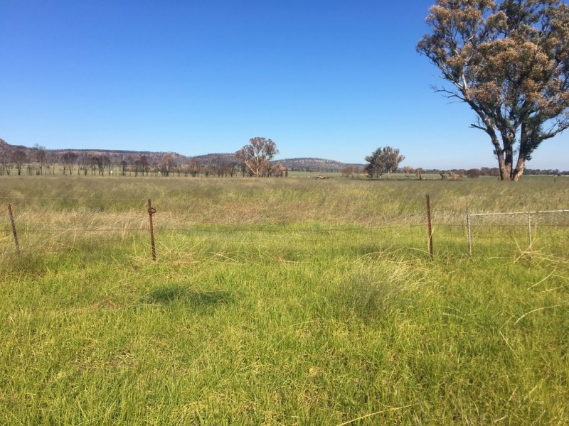 “Yellamo” 1730 Black Stump Way, Coolah NSW 2843