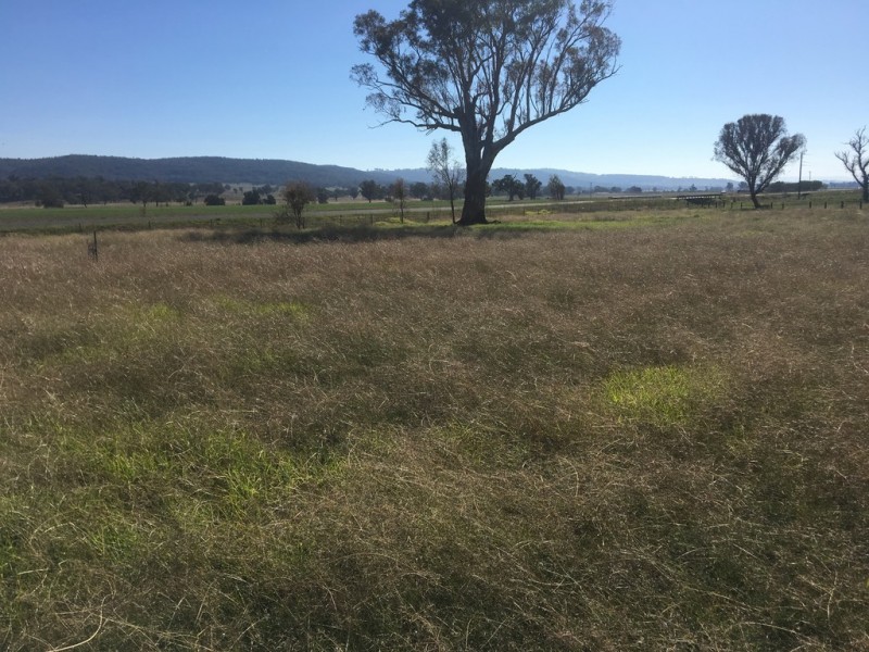 “Yellamo” 1730 Black Stump Way, Coolah NSW 2843