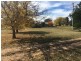 1848 Gamble Creek Road, Binnaway NSW 2395