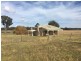 1848 Gamble Creek Road, Binnaway NSW 2395