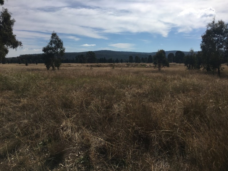 1848 Gamble Creek Road, Binnaway NSW 2395