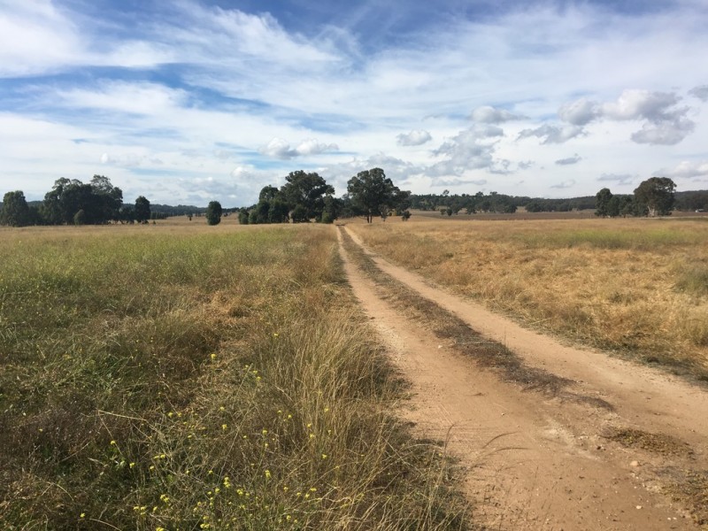 1848 Gamble Creek Road, Binnaway NSW 2395