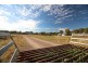 22 Reading Road, Gunnedah NSW 2380