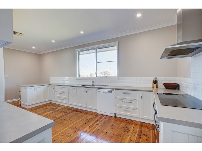 Collie Blue 841 Cassilis Road, Coolah NSW 2843