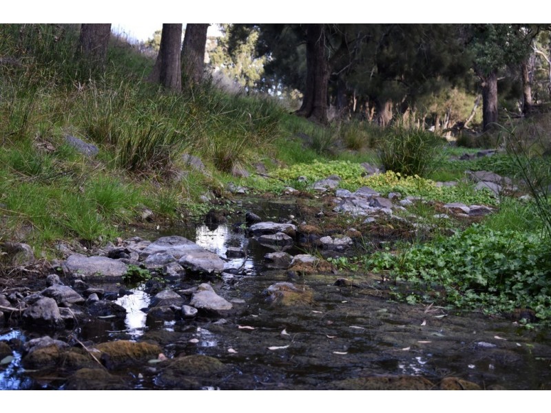 Collie Blue 841 Cassilis Road, Coolah NSW 2843