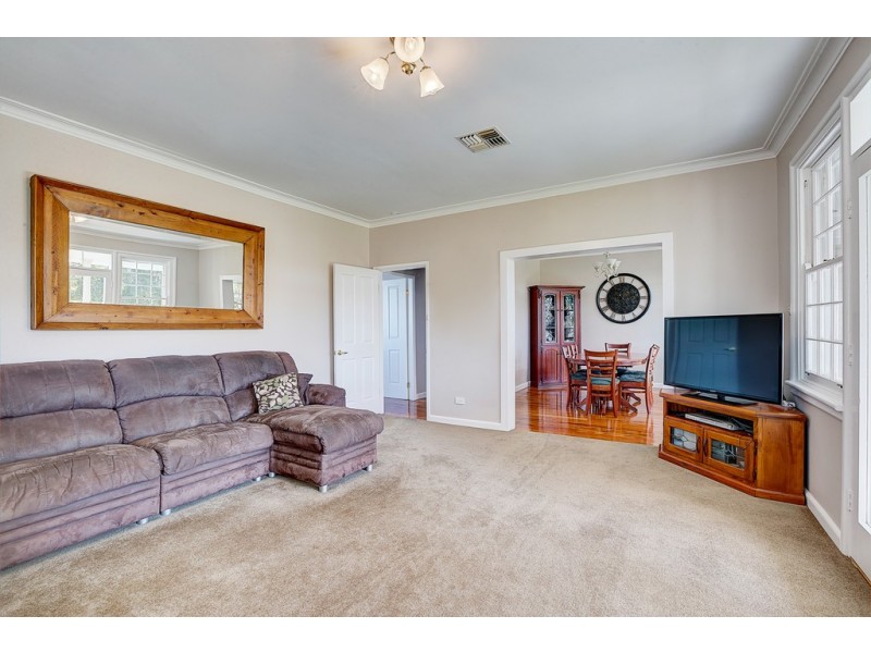 Collie Blue 841 Cassilis Road, Coolah NSW 2843