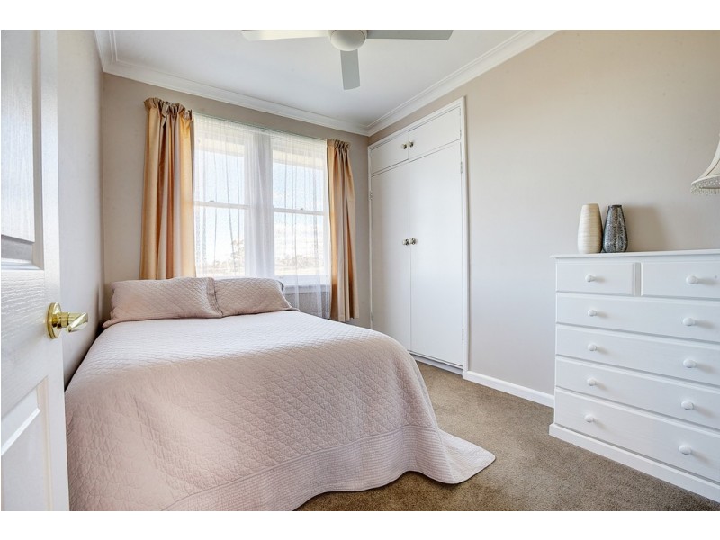 Collie Blue 841 Cassilis Road, Coolah NSW 2843