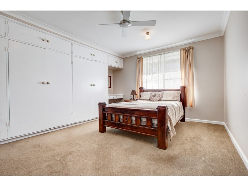 Collie Blue 841 Cassilis Road, Coolah NSW 2843