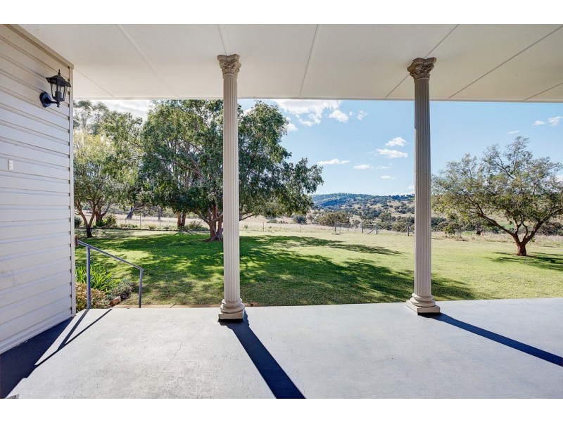 Collie Blue 841 Cassilis Road, Coolah NSW 2843
