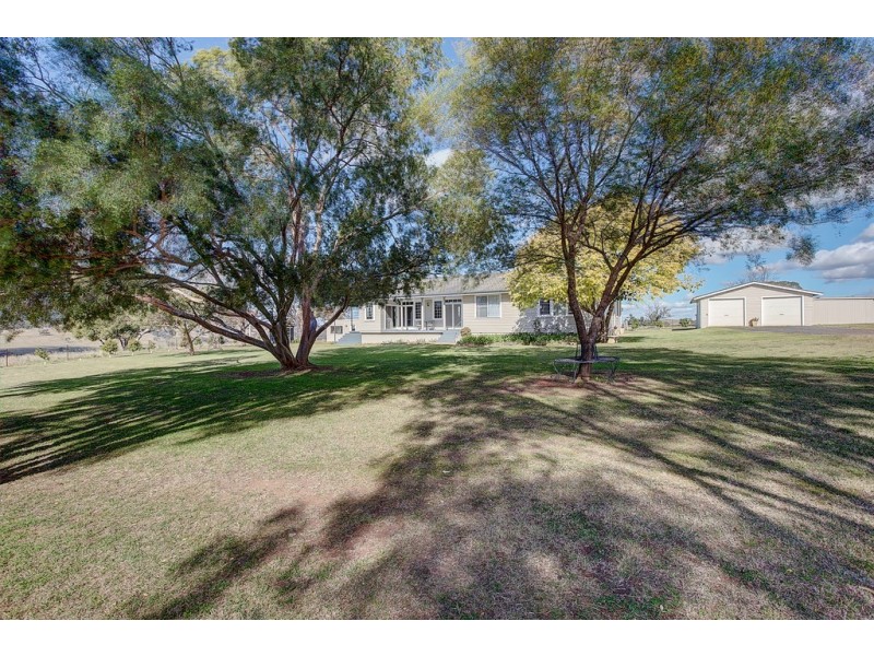 Collie Blue 841 Cassilis Road, Coolah NSW 2843