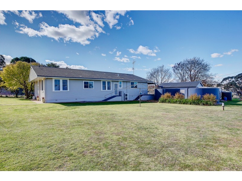 Collie Blue 841 Cassilis Road, Coolah NSW 2843