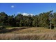 Collie Blue 841 Cassilis Road, Coolah NSW 2843