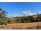 Collie Blue 841 Cassilis Road, Coolah NSW 2843