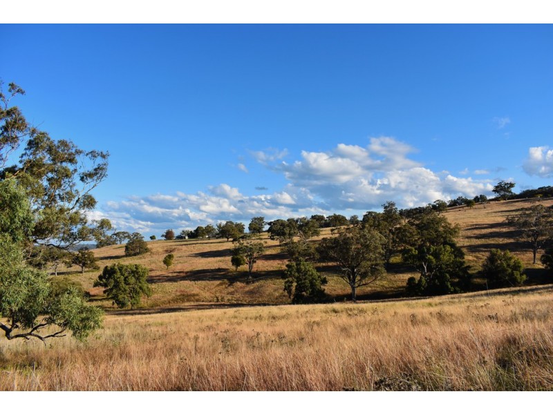 Collie Blue 841 Cassilis Road, Coolah NSW 2843