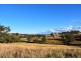Collie Blue 841 Cassilis Road, Coolah NSW 2843