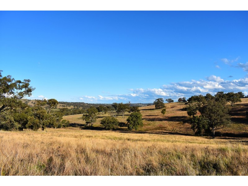 Collie Blue 841 Cassilis Road, Coolah NSW 2843