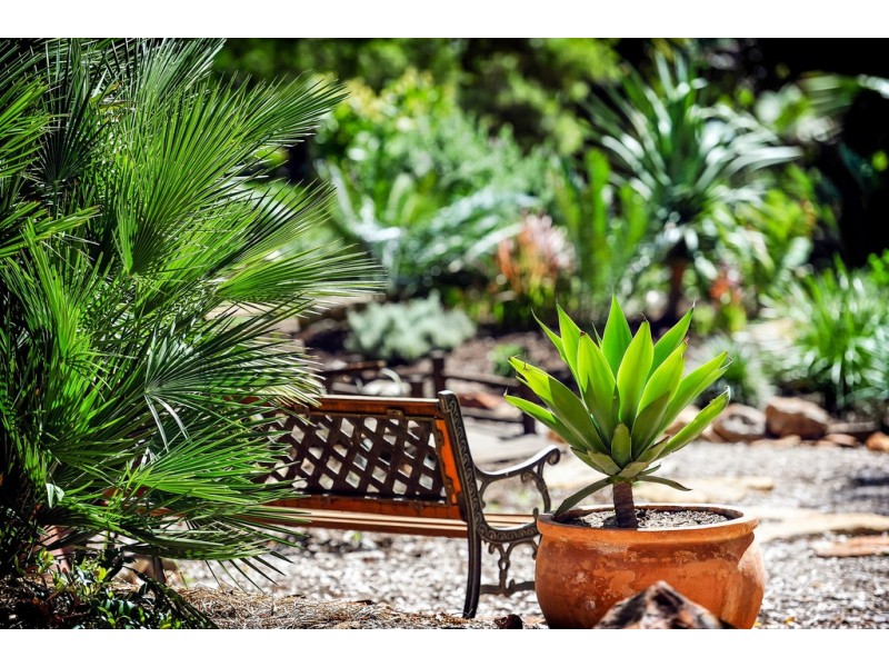 27 Ross Road, Gunnedah NSW 2380