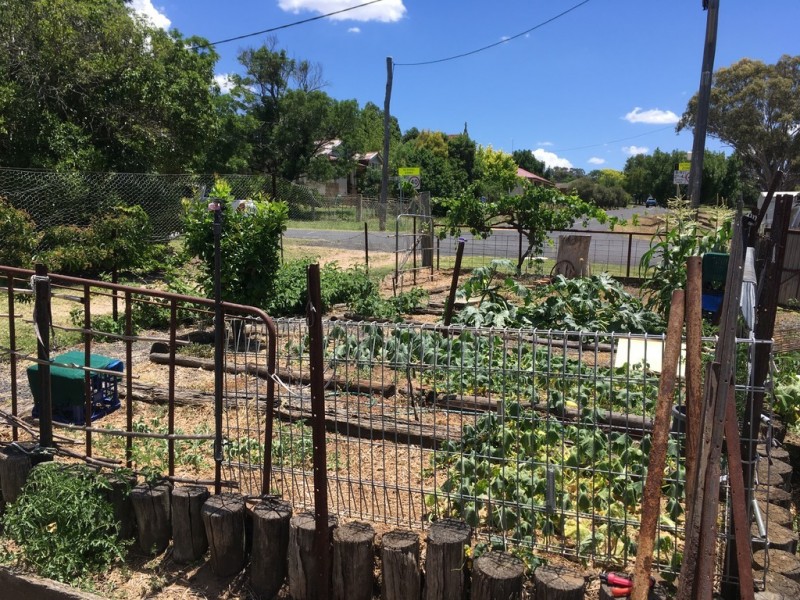 1 McLean Street, Coolah NSW 2843