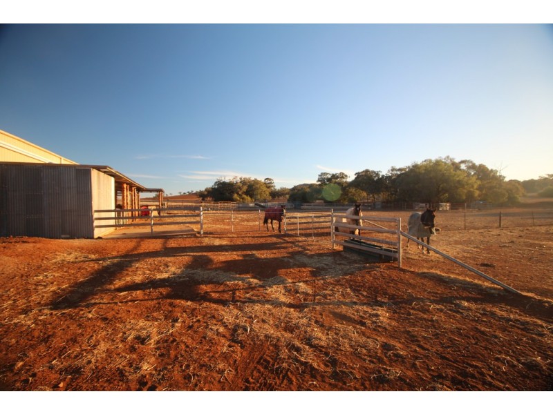 “Clairevale” 344 Digby Lane, Gunnedah NSW 2380