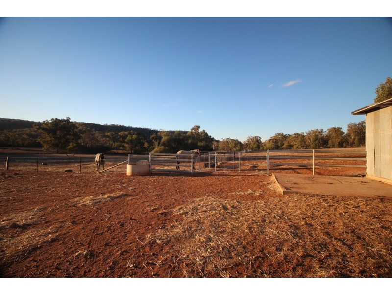 “Clairevale” 344 Digby Lane, Gunnedah NSW 2380