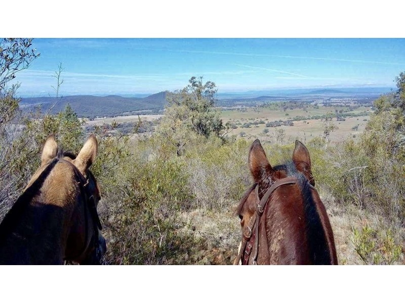 “Clairevale” 344 Digby Lane, Gunnedah NSW 2380