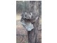 “Clairevale” 344 Digby Lane, Gunnedah NSW 2380
