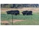 “Clairevale” 344 Digby Lane, Gunnedah NSW 2380