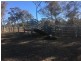 Wongawilli 796 Neible Road, Coolah NSW 2843