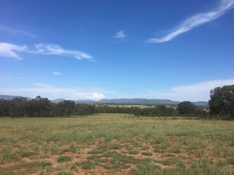 Wongawilli 796 Neible Road, Coolah NSW 2843