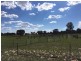 Wongawilli 796 Neible Road, Coolah NSW 2843