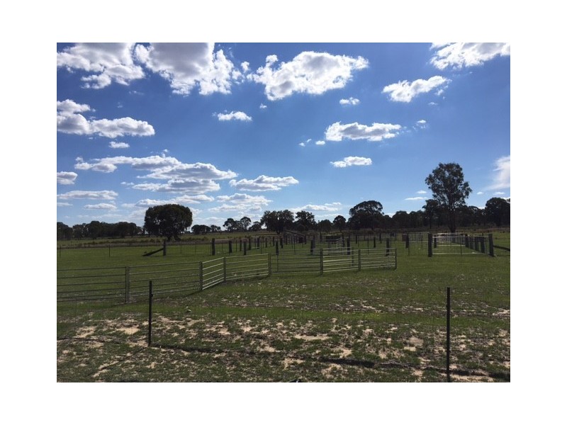 Wongawilli 796 Neible Road, Coolah NSW 2843