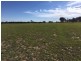 Wongawilli 796 Neible Road, Coolah NSW 2843