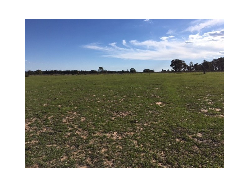 Wongawilli 796 Neible Road, Coolah NSW 2843