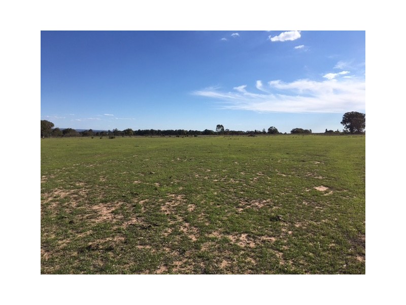 Wongawilli 796 Neible Road, Coolah NSW 2843