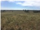 Wongawilli 796 Neible Road, Coolah NSW 2843