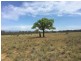 Wongawilli 796 Neible Road, Coolah NSW 2843