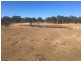 Wongawilli 796 Neible Road, Coolah NSW 2843