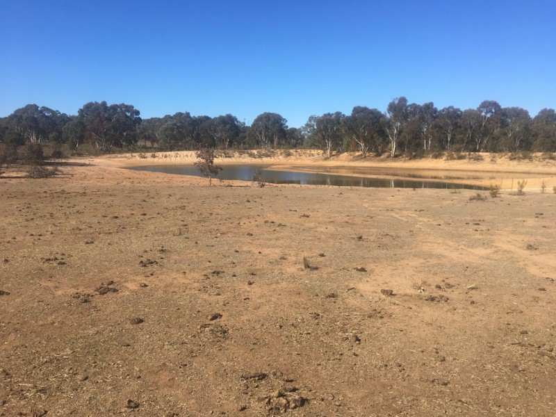 Wongawilli 796 Neible Road, Coolah NSW 2843