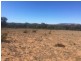 Wongawilli 796 Neible Road, Coolah NSW 2843