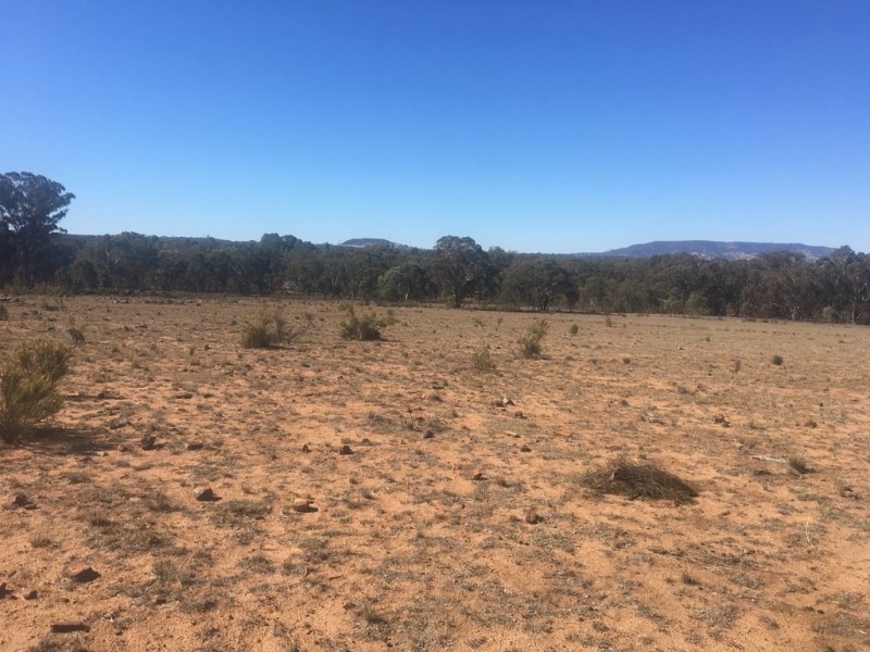 Wongawilli 796 Neible Road, Coolah NSW 2843