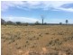 Wongawilli 796 Neible Road, Coolah NSW 2843