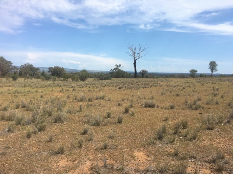 Wongawilli 796 Neible Road, Coolah NSW 2843
