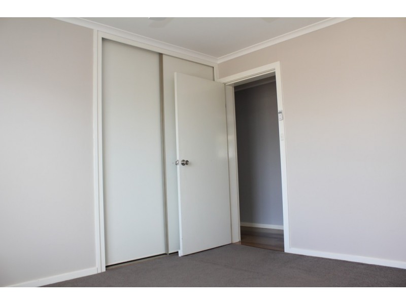 103 Booyamurra Street, Coolah NSW 2843