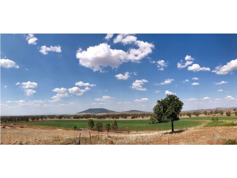 3456 Grain Valley Road, Boggabri NSW 2382