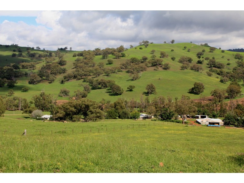 Oakdale 1479 Coolah Creek Road, Coolah NSW 2843